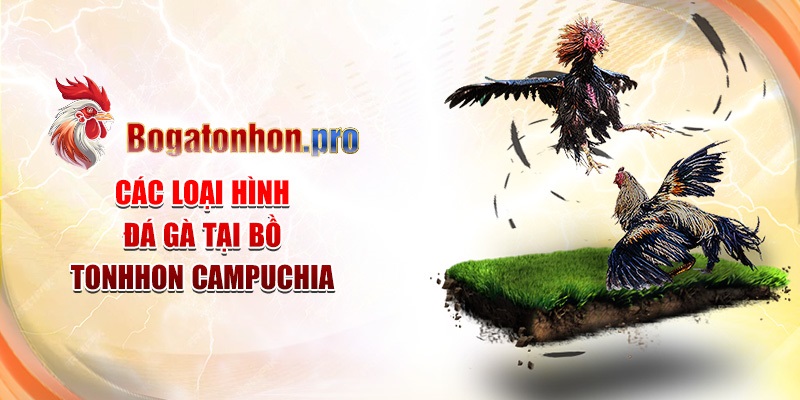 Các loại hình đá gà tại Bồ Tonhon Campuchia Các loại hình đá gà tại Bồ Tonhon Campuchia