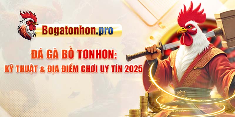 Đá Gà Bồ Tonhon - Kỹ Thuật & Địa Điểm Chơi Uy Tín 2025