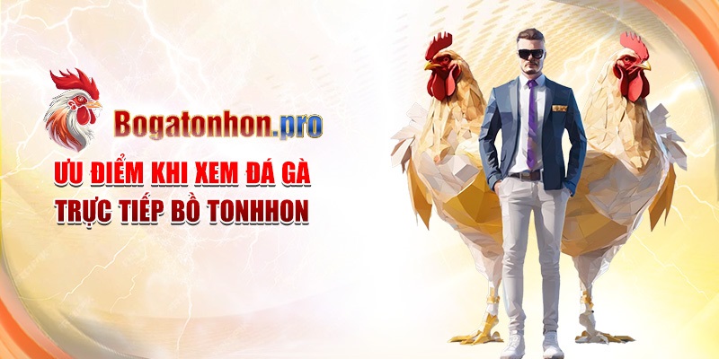 Ưu điểm khi xem đá gà trực tiếp Bồ Tonhon Ưu điểm khi xem đá gà trực tiếp Bồ Tonhon