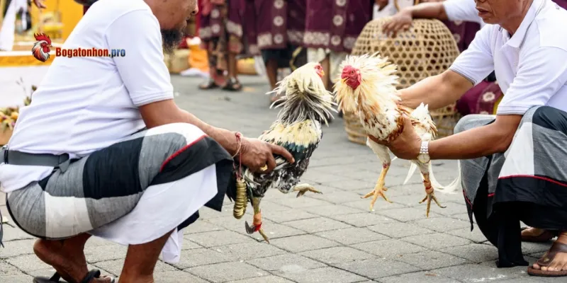 Giao diện tiện lợi Giao diện tiện lợi