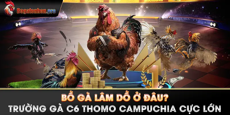 Bồ gà Lâm Dồ ở đâu? Trường gà C6 Thomo Campuchia cực lớn