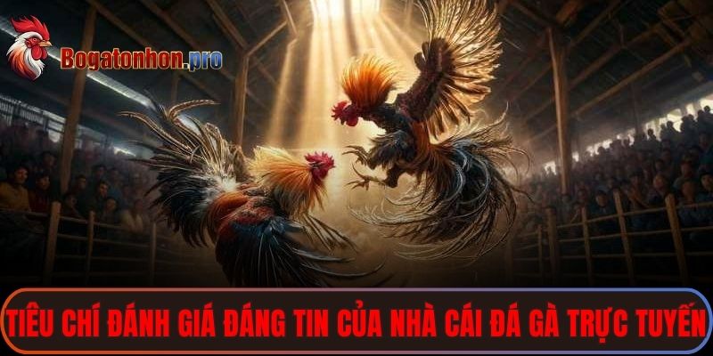 Có nhiều tiêu chí để đánh giá độ đáng tin của một nhà cái đá gà trực tuyến 