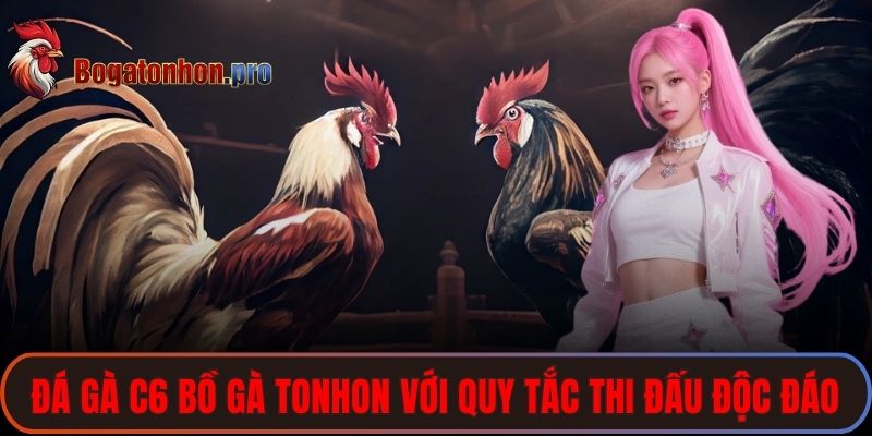 Đá gà C6 bồ gà Tonhon