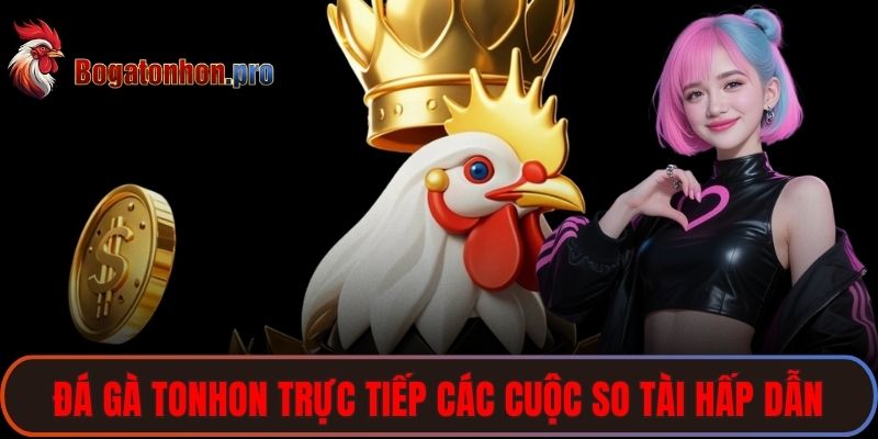 Đá gà Tonhon trực tiếp