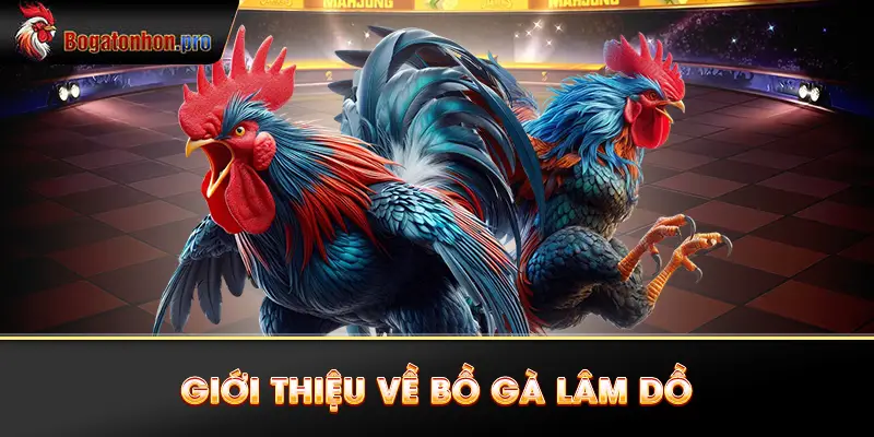 Giới thiệu về Bồ gà Lâm Dồ