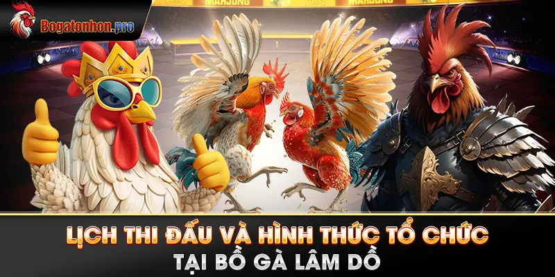 Lịch thi đấu và hình thức tổ chức tại Bồ gà Lâm Dồ