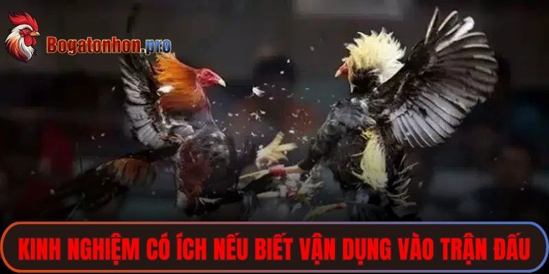 Mọi kinh nghiệm đều có ích nếu biết cách vận dụng vào từng trận đấu 