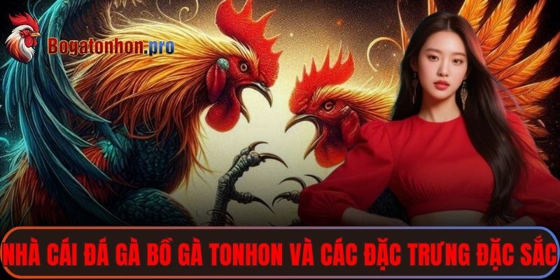 Nhà Cái Đá Gà Bồ Gà Tonhon